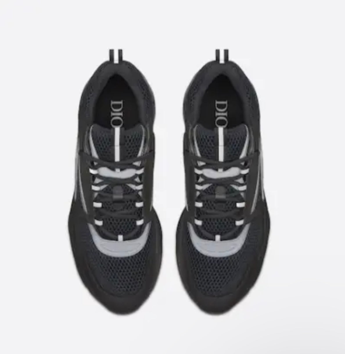 Dior b22